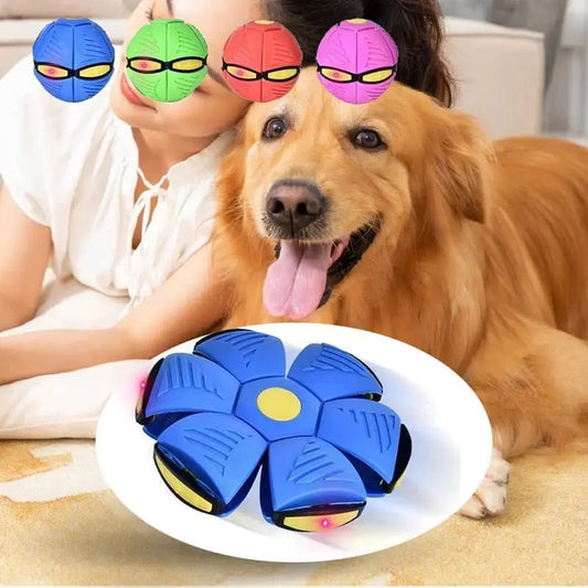 Flying Saucer Doggy Disc Ball